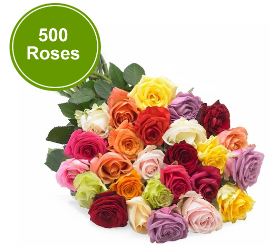 Luxury Roses In Unique Colors Flower For Vase PK LUXUS™, 52% OFF