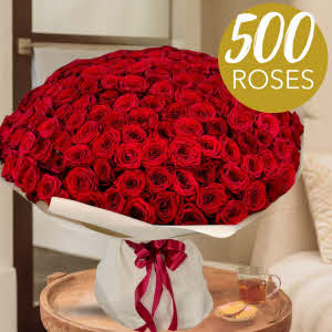 Boeket 500 rode rozen | Vers Garantie | Flowers.NL®